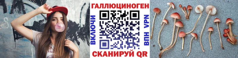 Псилоцибиновые грибы Psilocybine cubensis  мега зеркало  Красноперекопск 